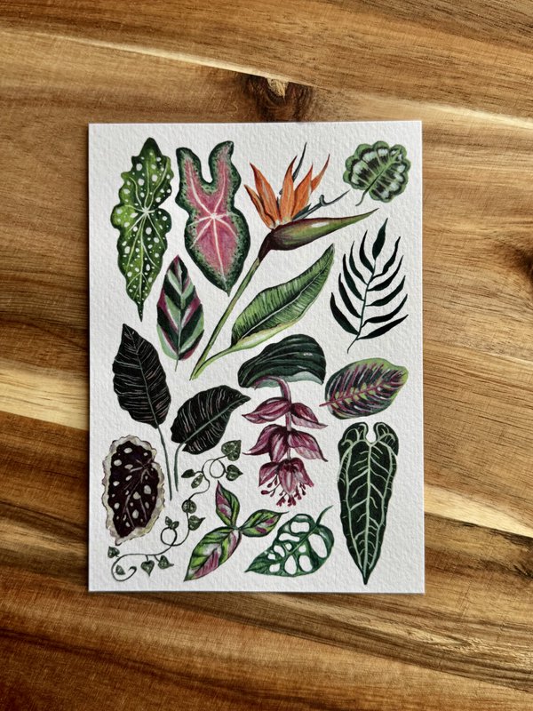 Postcard 'Houseplants'