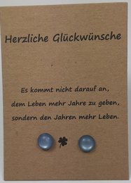 Toll stainless steel earring on card in German language (set10)