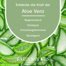 Aloe Vera Öl 100ml (Bio)