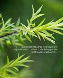 Shampoo Bar Teatree – Für fettiges Haar und fettige Kopfhaut