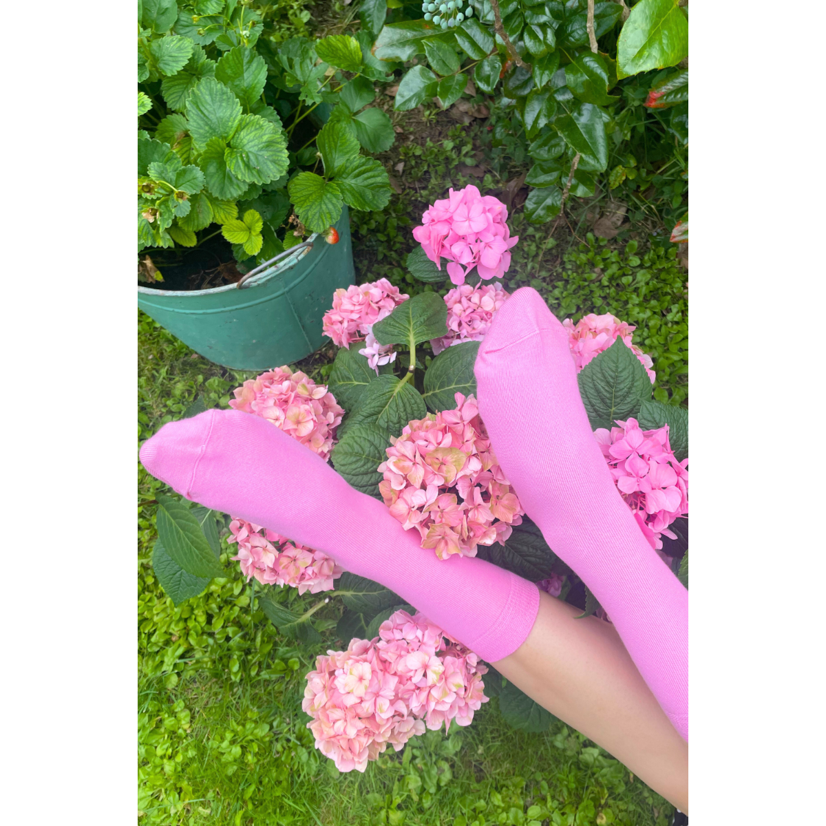 KIM pink cotton socks for women
