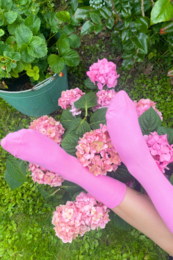 KIM pink cotton socks for women