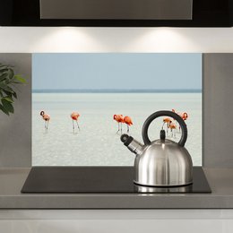 Splash guard - Flamingo at the Beach
