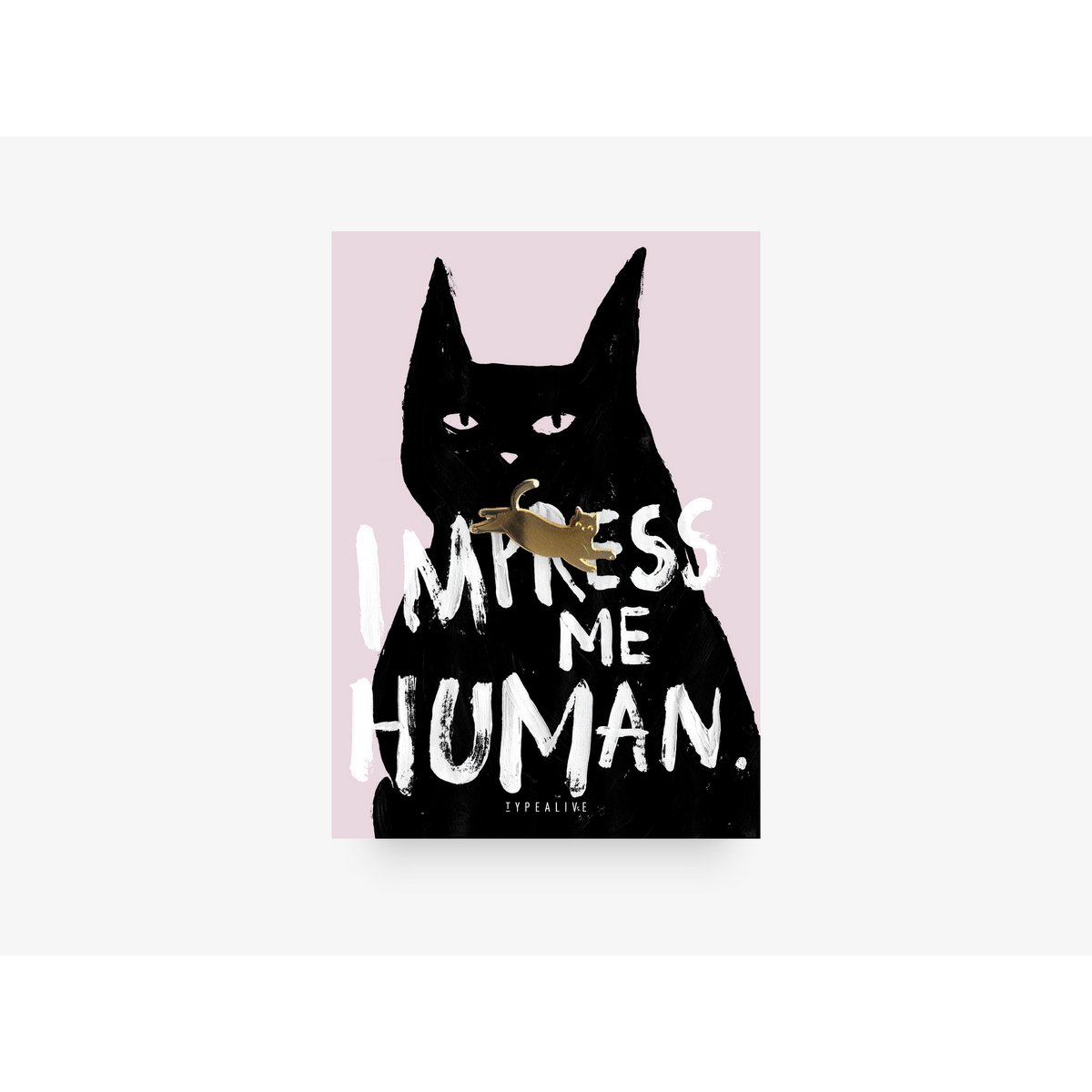 Pin / Impress Me
