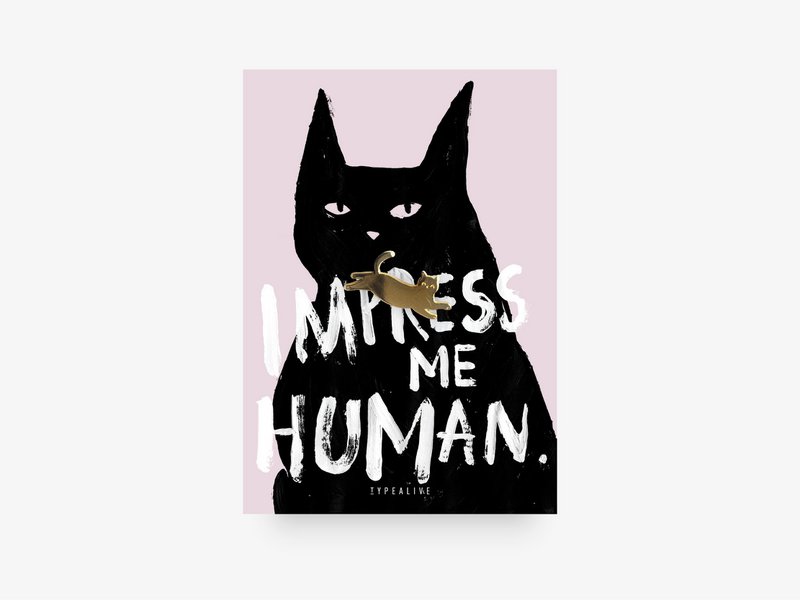 Pin / Impress Me