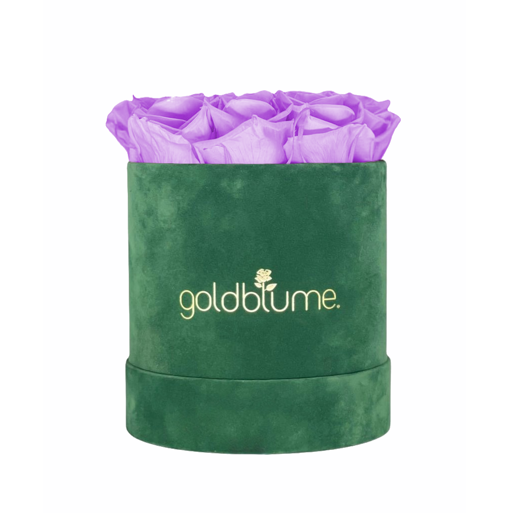 Velvet Green Collection
