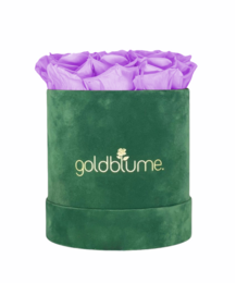 Velvet Green Collection