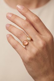Bague en acier inoxydable ajustable