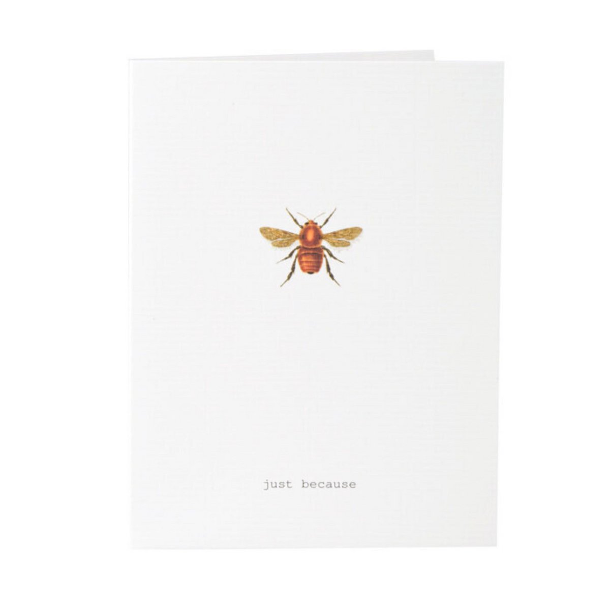 Just Because Greeting Card
