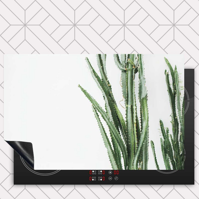 Protecteur induction - Cactus