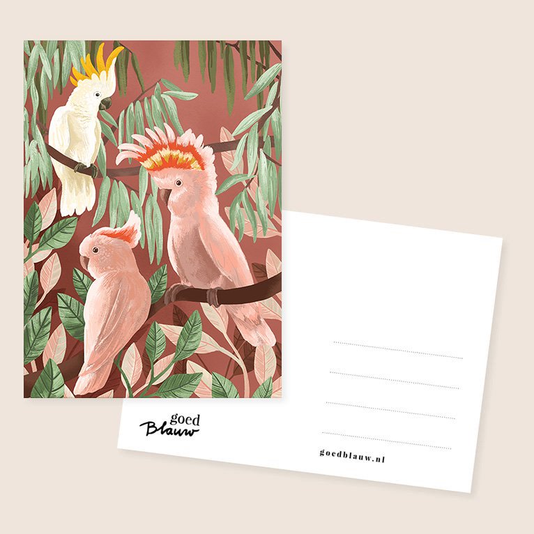 cacatúas