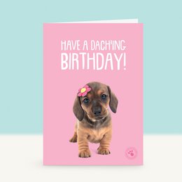 A cute dachshund puppy with a pink bow on a birthday card with the text "Have a Dashing Birthday!"