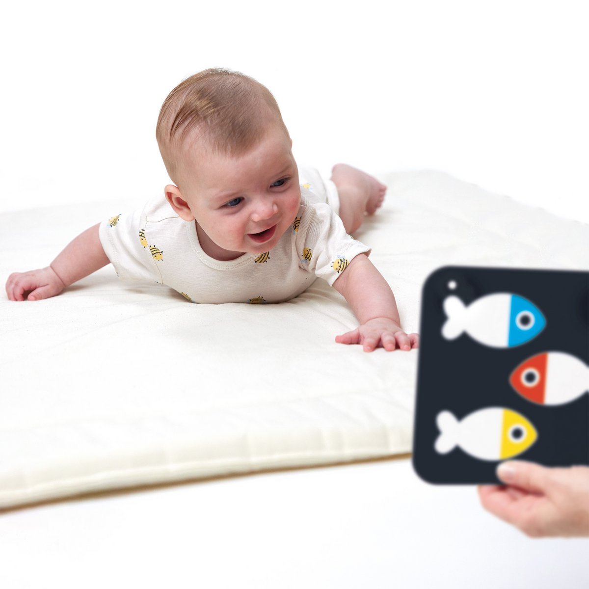 Kontrastreiche Babykarten 0m+ 3m+