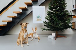 Tea towel white, snow globe