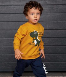 Dinosaurus geborduurde geborstelde fleece set