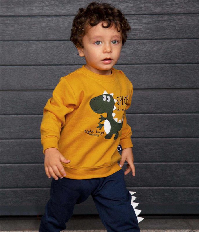 Dinosaurus geborduurde geborstelde fleece set