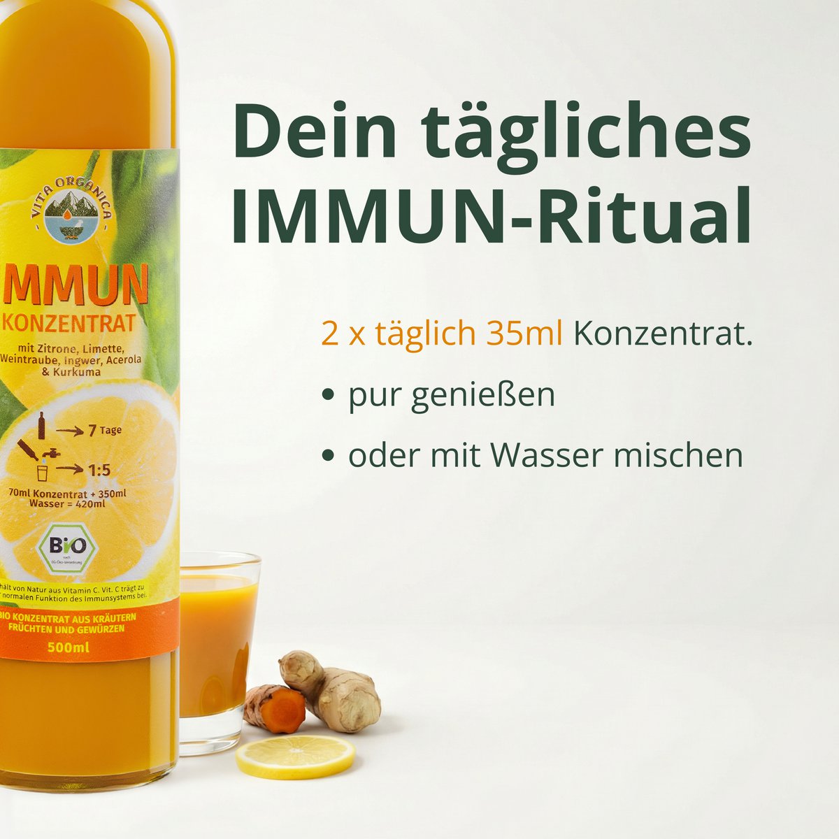 BIO Ingwer Konzentrat 500ml