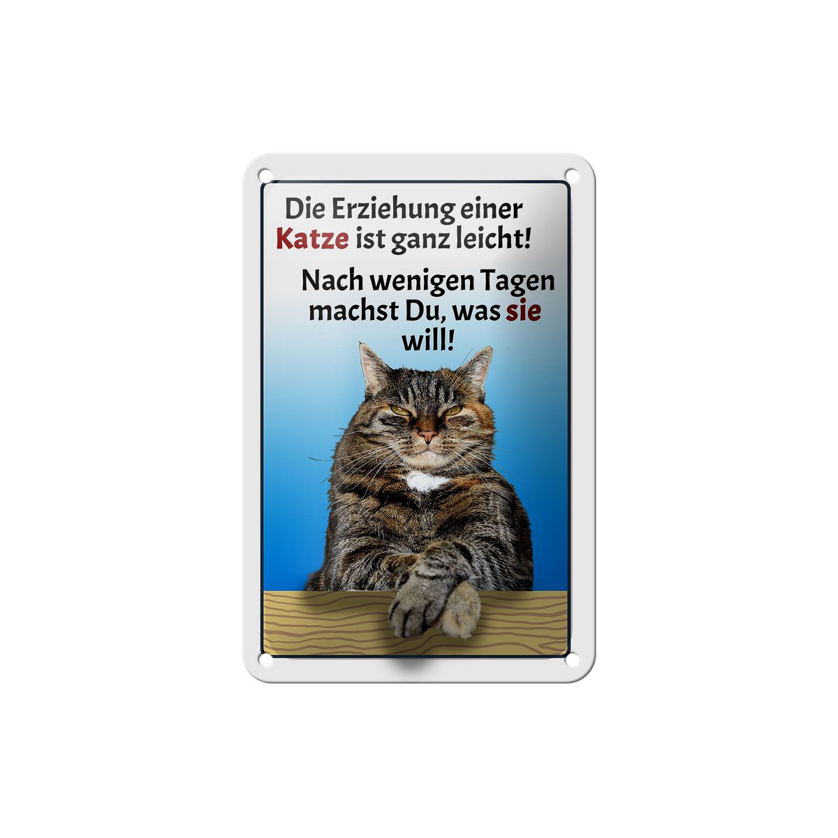 Tin sign saying 12x18cm raising a cat easy decoration