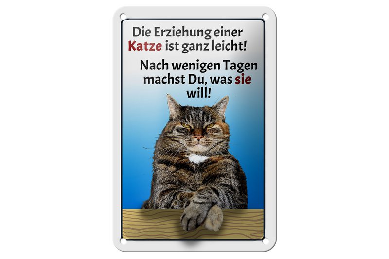 Tin sign saying 12x18cm raising a cat easy decoration