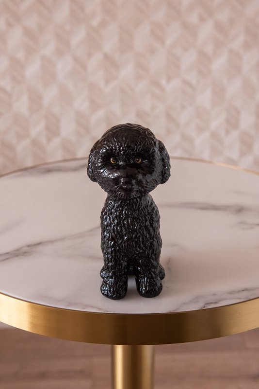 Poodle doodle lover