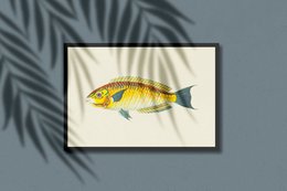 Yellow Fish