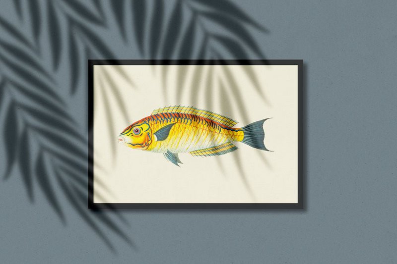 Gul fisk