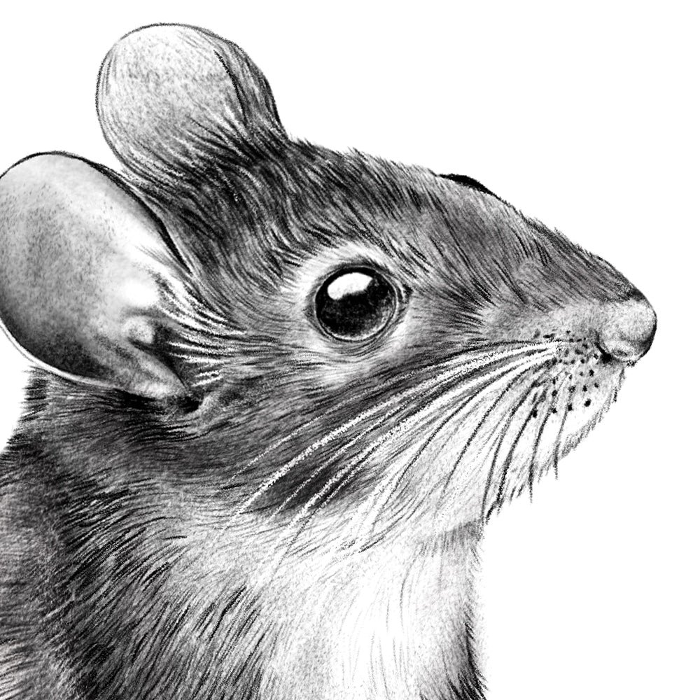 Ensemble d'autocollants muraux de souris en bois