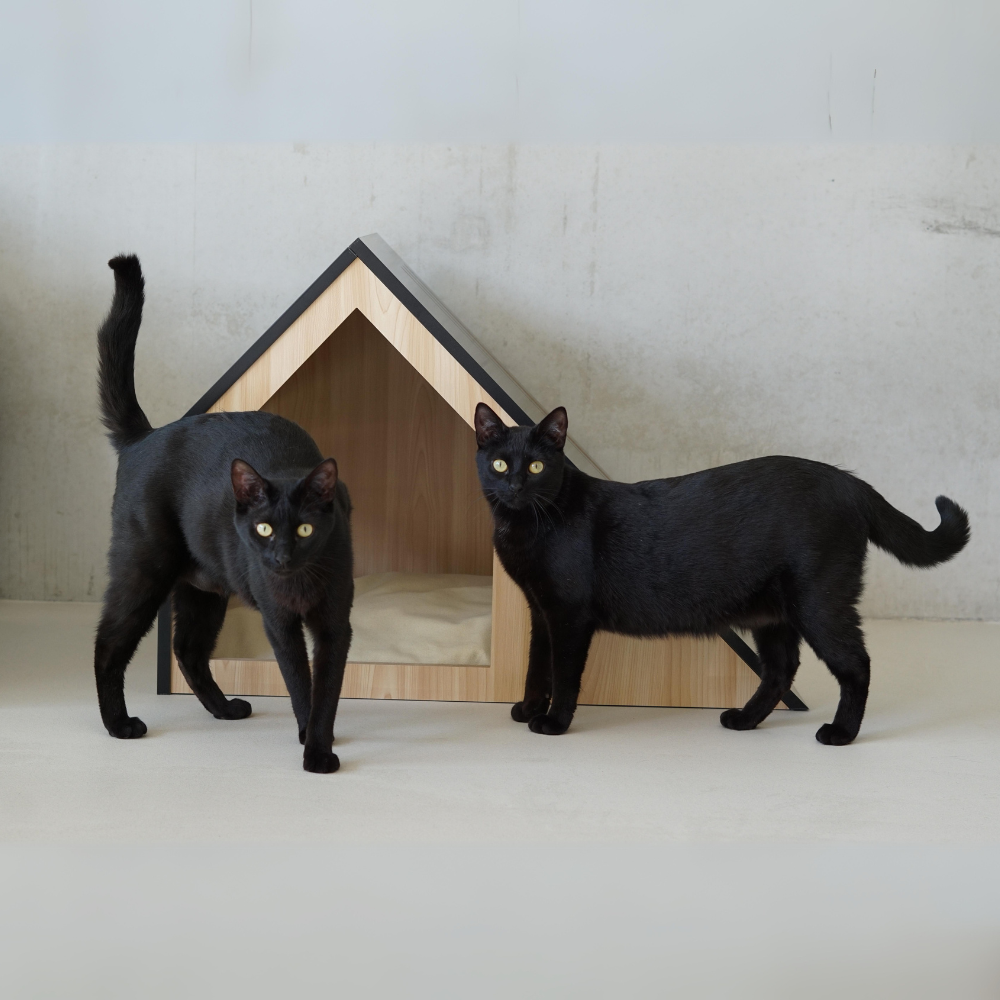 Kattenhuis | hout | katoen | zwart | 75 x 50 x 53 cm