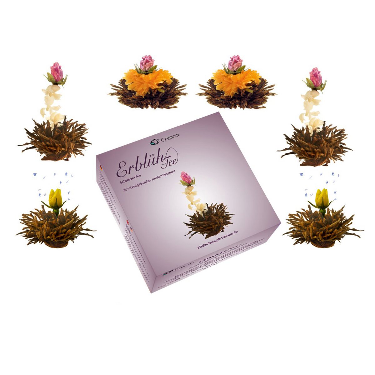 Creano 6er ErblühTee-Set Schwarztee Teerosen
