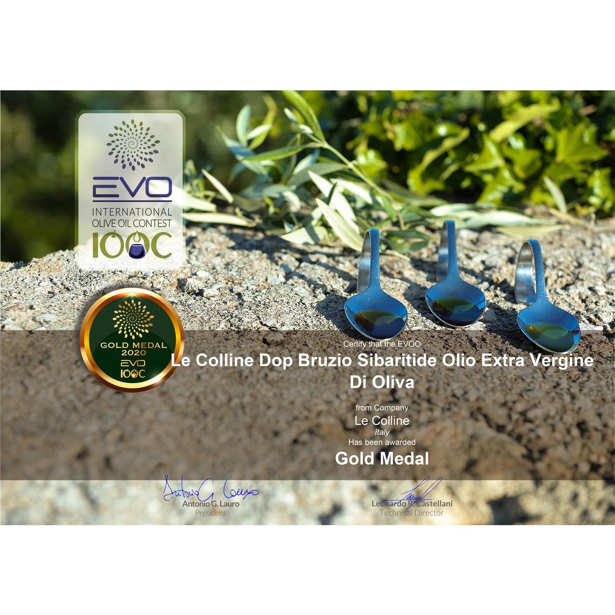 Extra Virgin Olive Oil DOP | 250ml