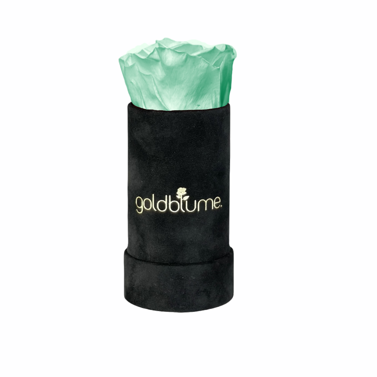 Velvet Black-collectie