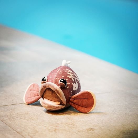 Grouper Tout Court