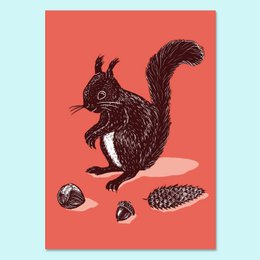 Posters | squirrel