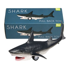 Shark pull back toy