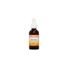Aceite verde en ciernes 50 ml