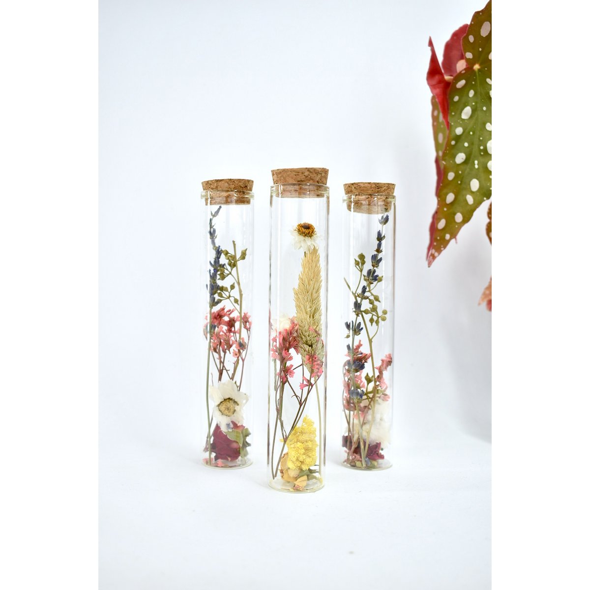 Tubi di fiori secchi - 15 cm