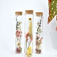 Trockenblumenröhrchen - 15 cm