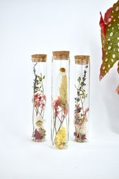 Tubi di fiori secchi - 15 cm