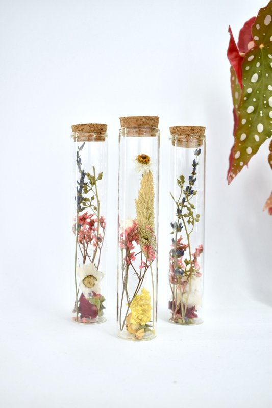 Tubi di fiori secchi - 15 cm