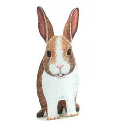 Lapin de carte animale 3D