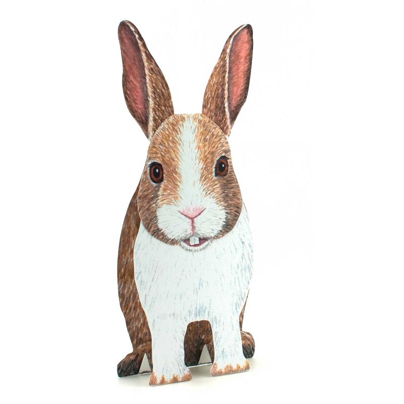 Lapin de carte animale 3D
