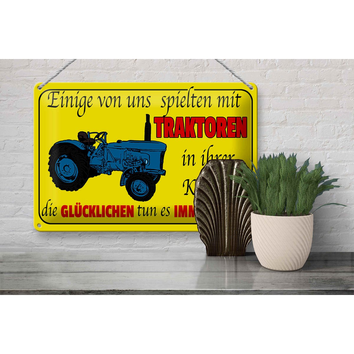 Blechschild Spruch 30x20cm einige spielten mit Traktoren