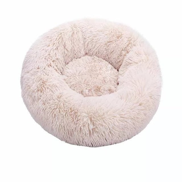 Bed cushion pets