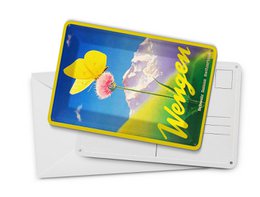 Cartolina da viaggio in latta 10x14 cm Wengen Svizzera fiore con farfalla insegna decorativa