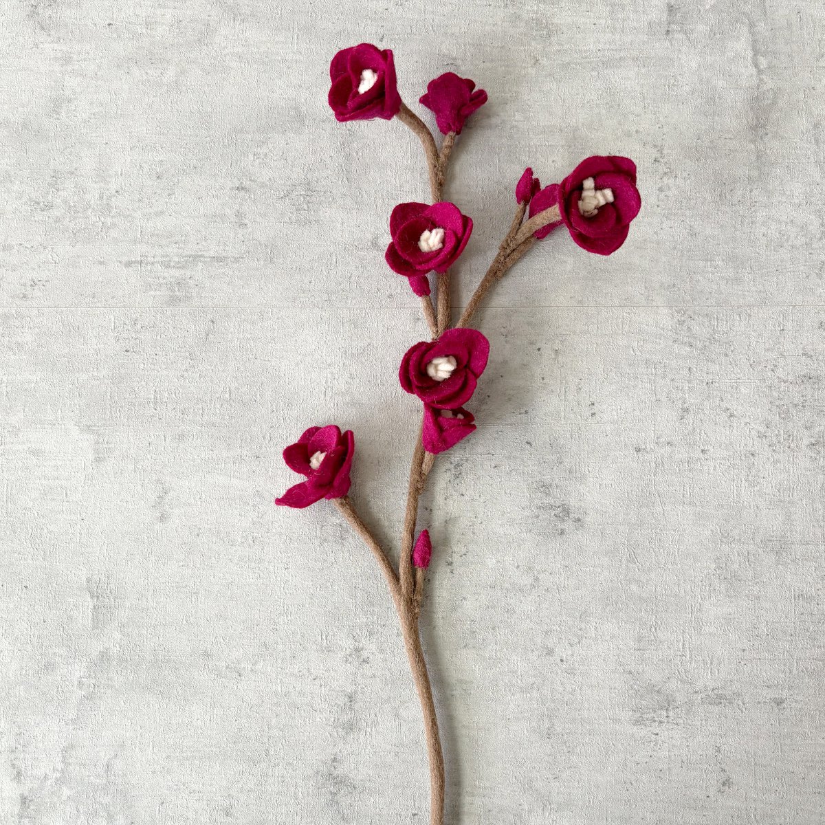 Cherry Blossom Grand Aubergine