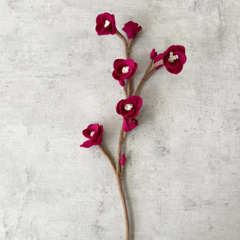 Fiori di ciliegia grande melanzana