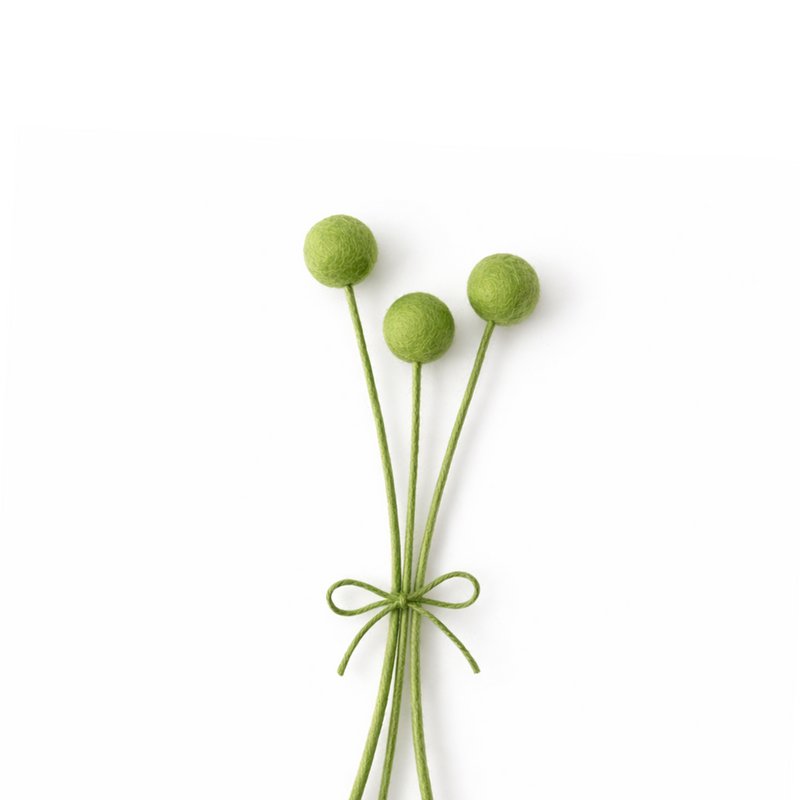 Craspedia XL green