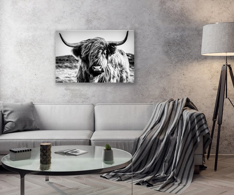 Wandfoto HOCHLANDRIND 60x90 cm canvas foto op spieraam decoratie modern