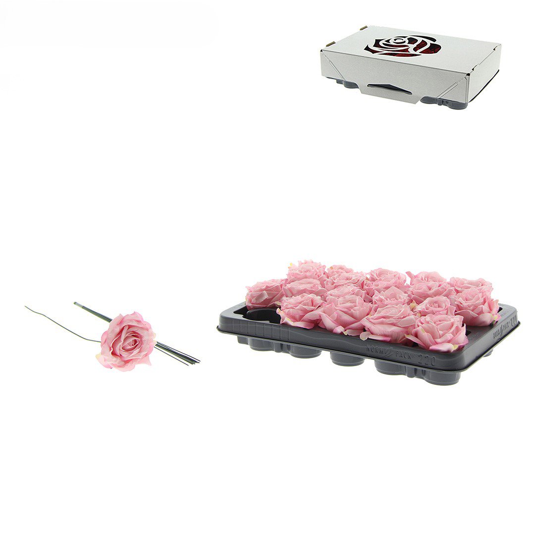 Rose Decooz® Silk - Pink