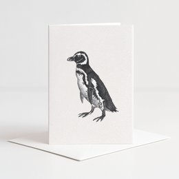 Kaart pinguïn zwart-wit met envelop